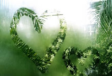 博洛尼亚队展现实力，风头无两？