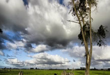 拜仁慕尼黑战胜对手，晋级欧冠半决赛